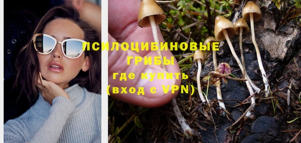 первитин Алексин